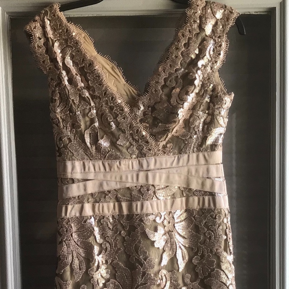 Tadashi Shoji Metallic Embroidered Sequined Dress